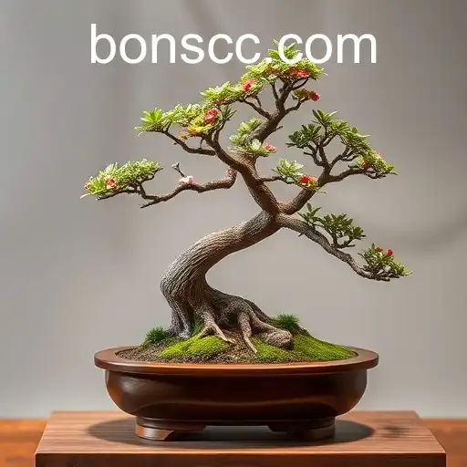 The Art of Bons in Sports